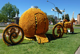 Citrus Sculptures